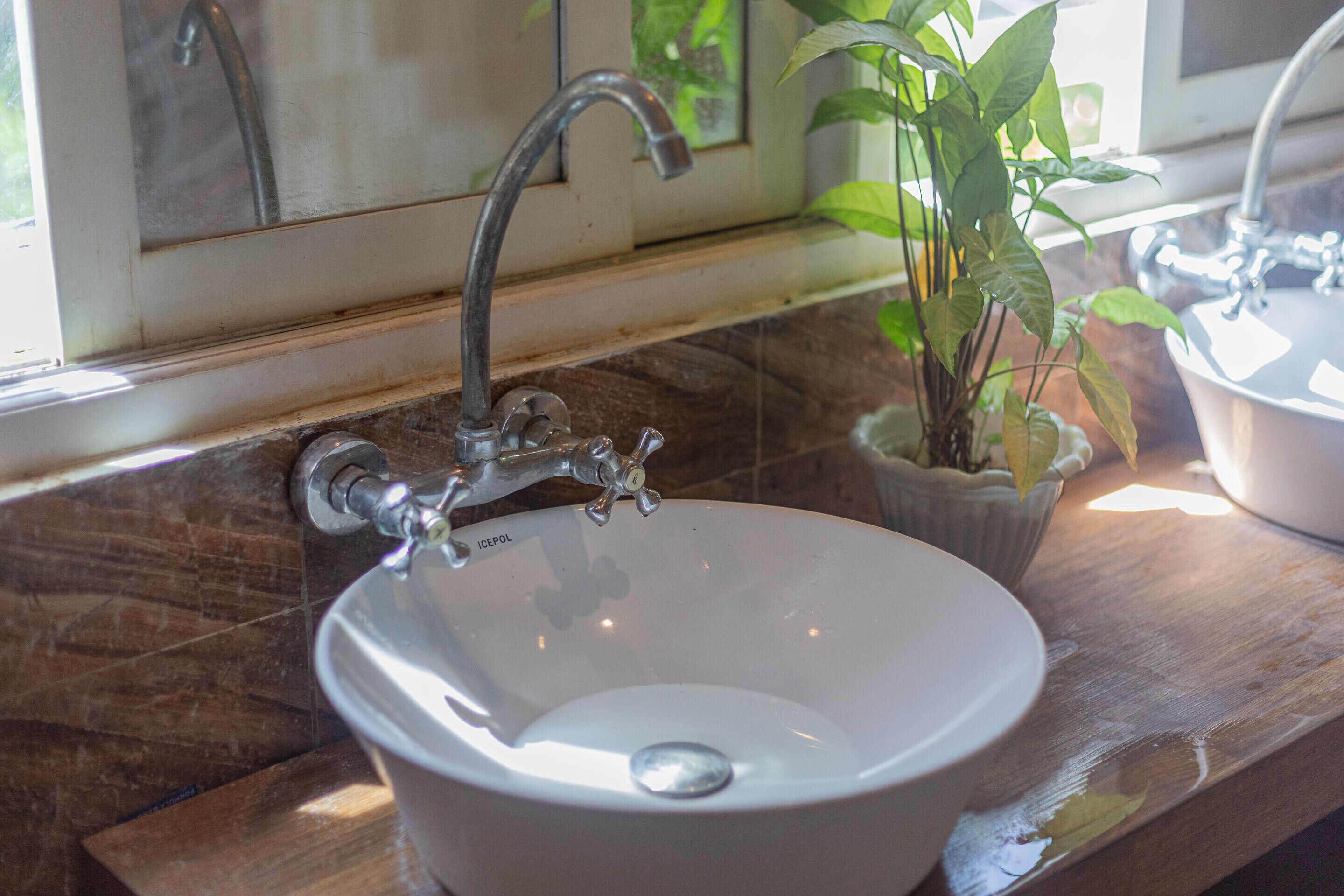 A bathroom sink with a modern faucet, a potted plant, and a mirror above it.