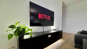 A modern living room with a flat-screen TV mounted on a black entertainment unit, a potted plant, and a grey sofa. - Elegante Unterkunft in Stadtnähe (Adliswil)