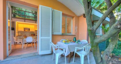 France Apartment