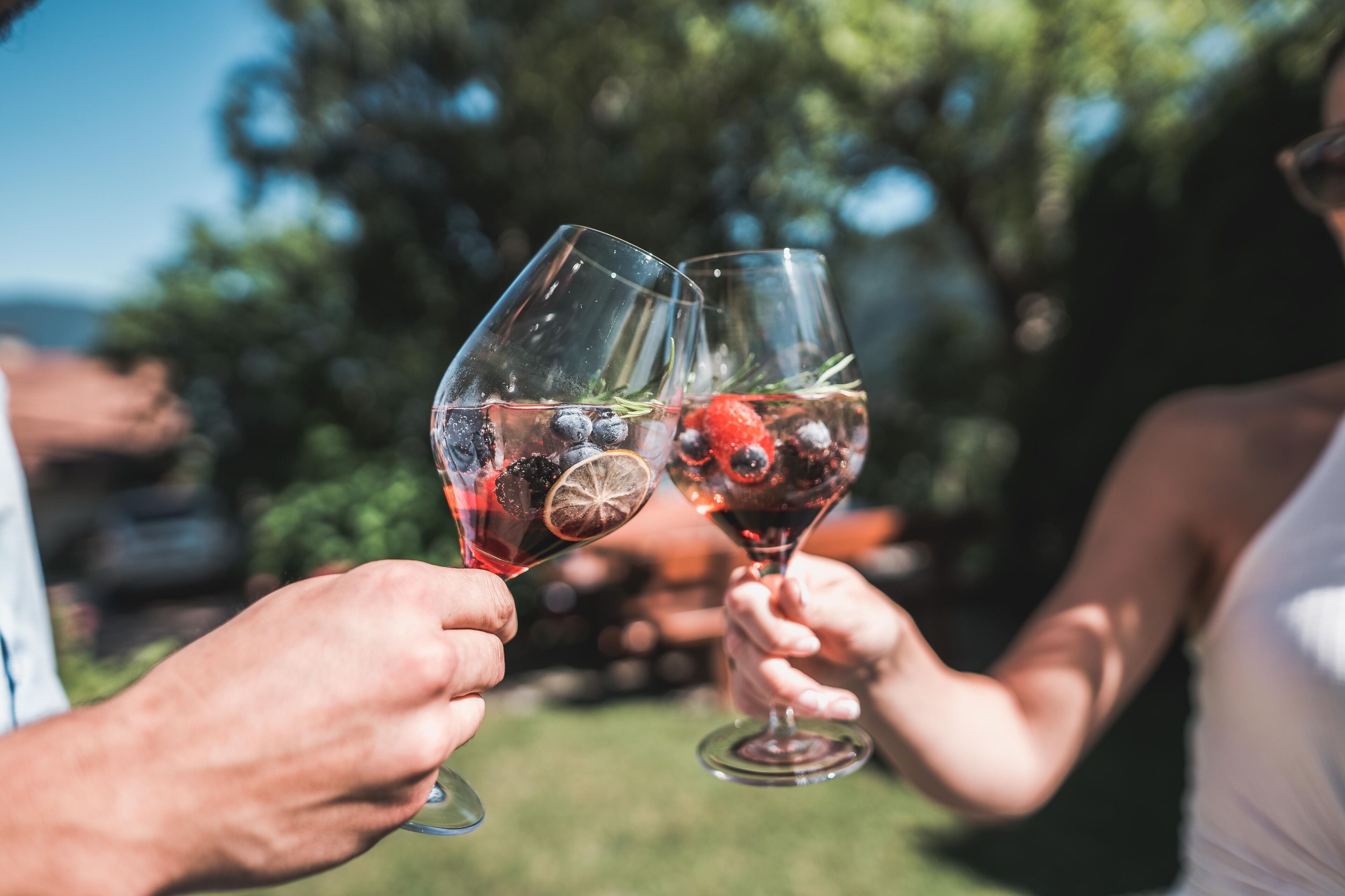 Two people holding wine glasses with fruits and herbs.