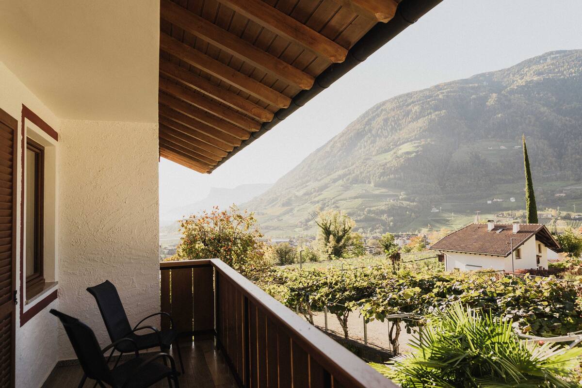 A balcony with wooden railings, a white wall, and a view of a vineyard and mountains.