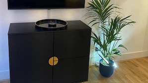 Musta viihdekeskus, jossa on litteänäyttöinen televisio. Sen päällä on pyöreä esine ja sen vieressä ruukussa oleva kasvi.