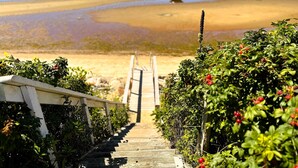 Un escalier en bois mène à une plage dotée d’une promenade en bois et bordée d’une végétation luxuriante.