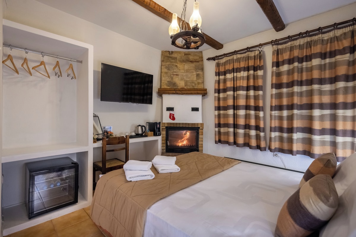 A bedroom with a bed, a fireplace, a TV, and a coat rack.