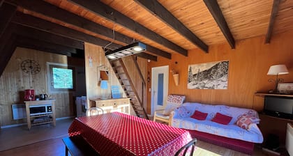 Charming unique chalet - 6 people, garage