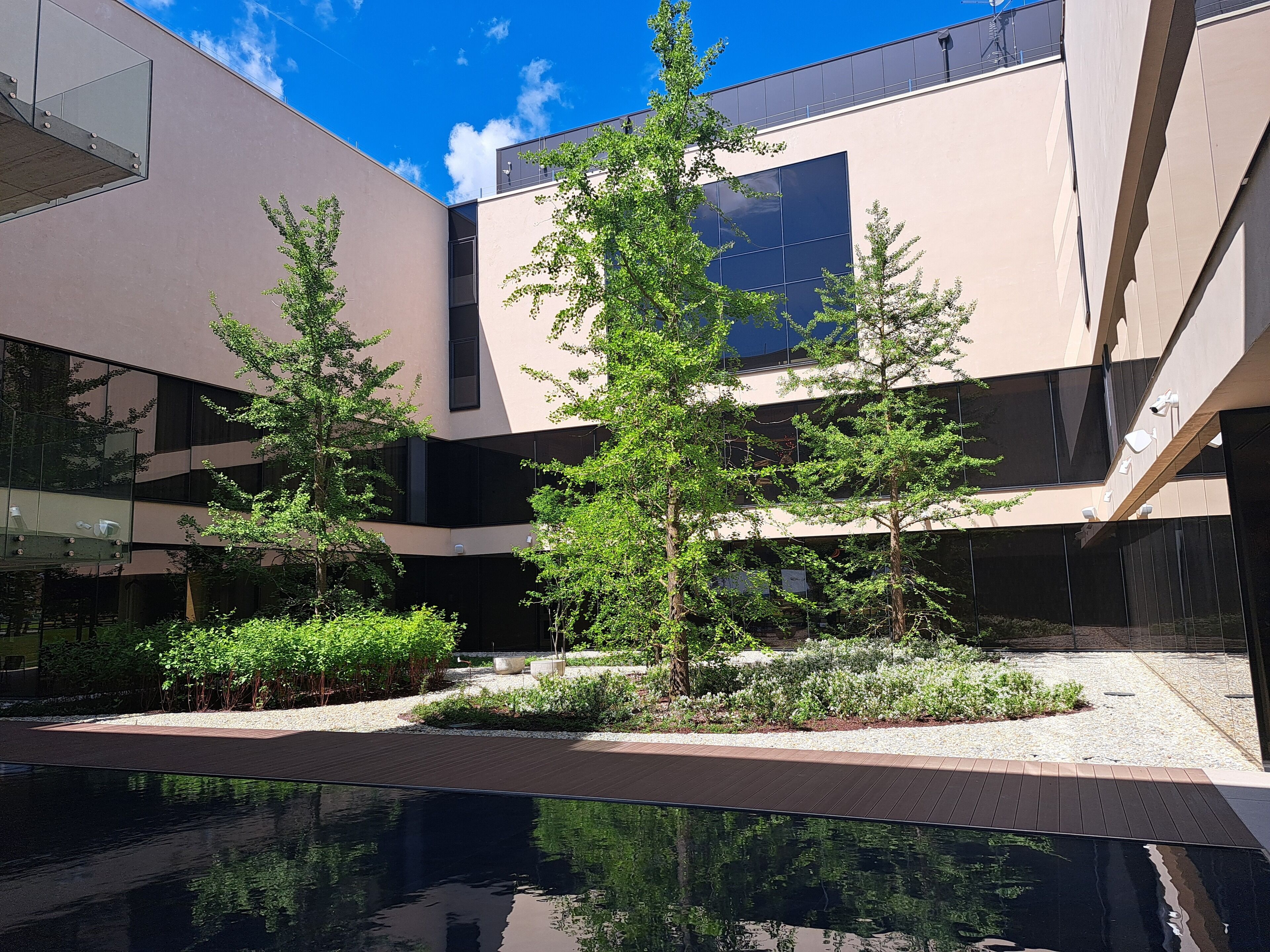 A modern building with a reflective pool, surrounded by greenery and trees.