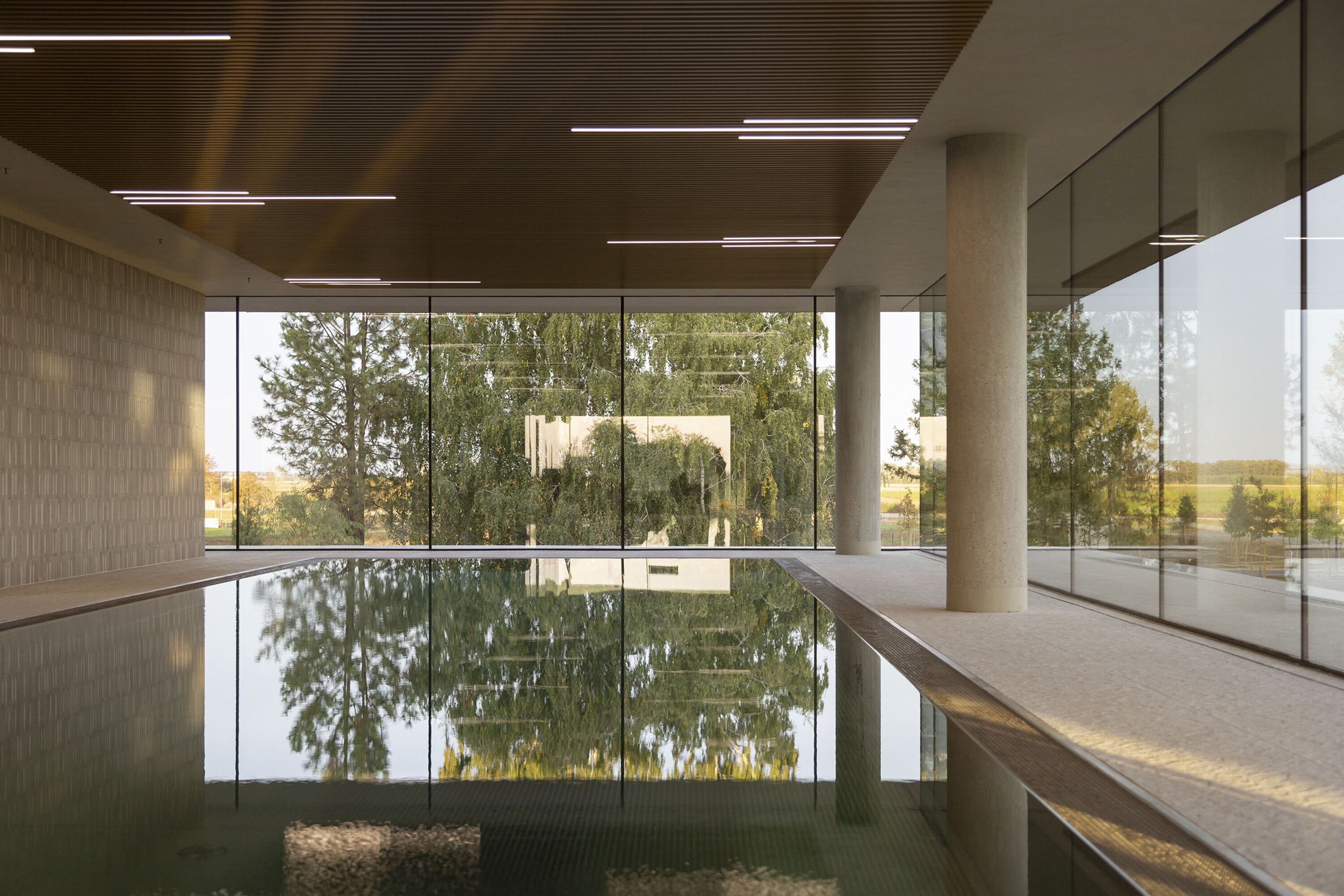 A modern indoor pool with a glass wall reflecting trees and a building.