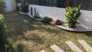 Ein Garten mit einer weißen Mauer, einem roten, kugelförmigen Objekt und einer Pflanze mit grünen Blättern.