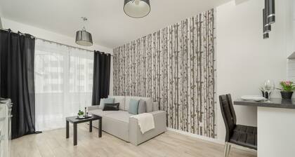 Wrocław Haven Apartment by Renters