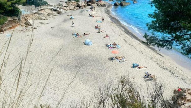 A beach with clear blue water, sandy shore, and some trees. - Ground Floor Apartment with Pool Access Near Beach in Miami Playa (Miami Playa)