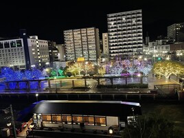 Vista desde la propiedad