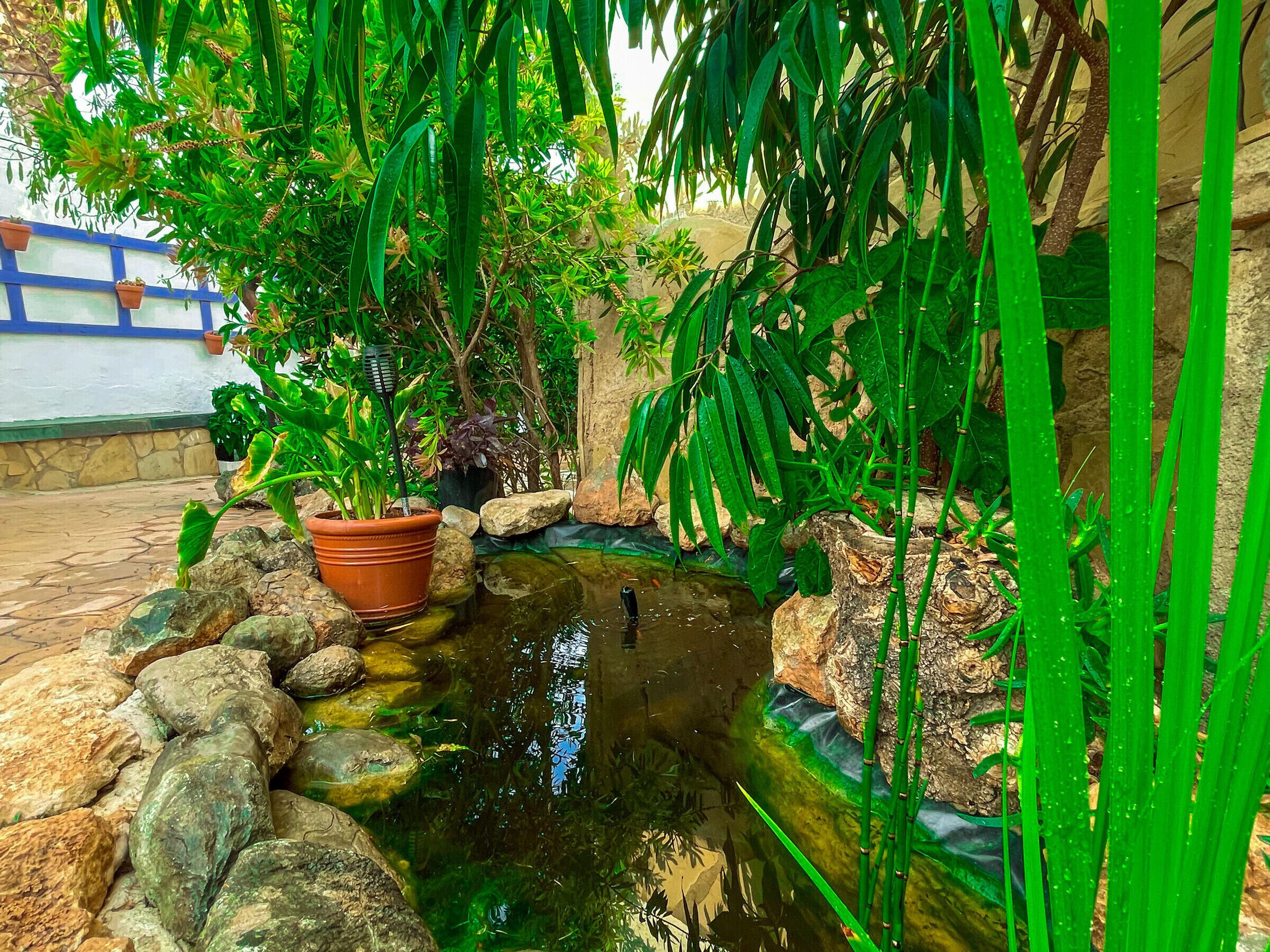 Overnattingsstedets uteområder