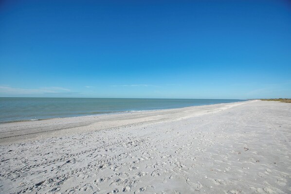 Plage, pêche sur place