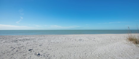 Aan het strand, vissen