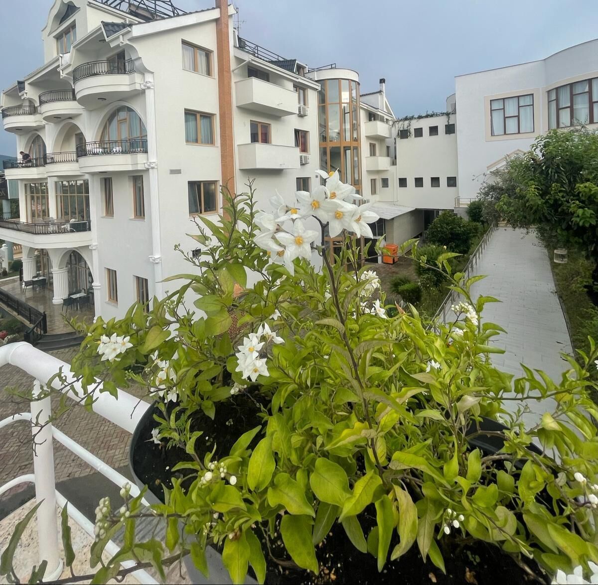 Photo - Misk Hotel & Resort