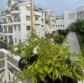 Garden - Misk Resort Hotel (Farkë)