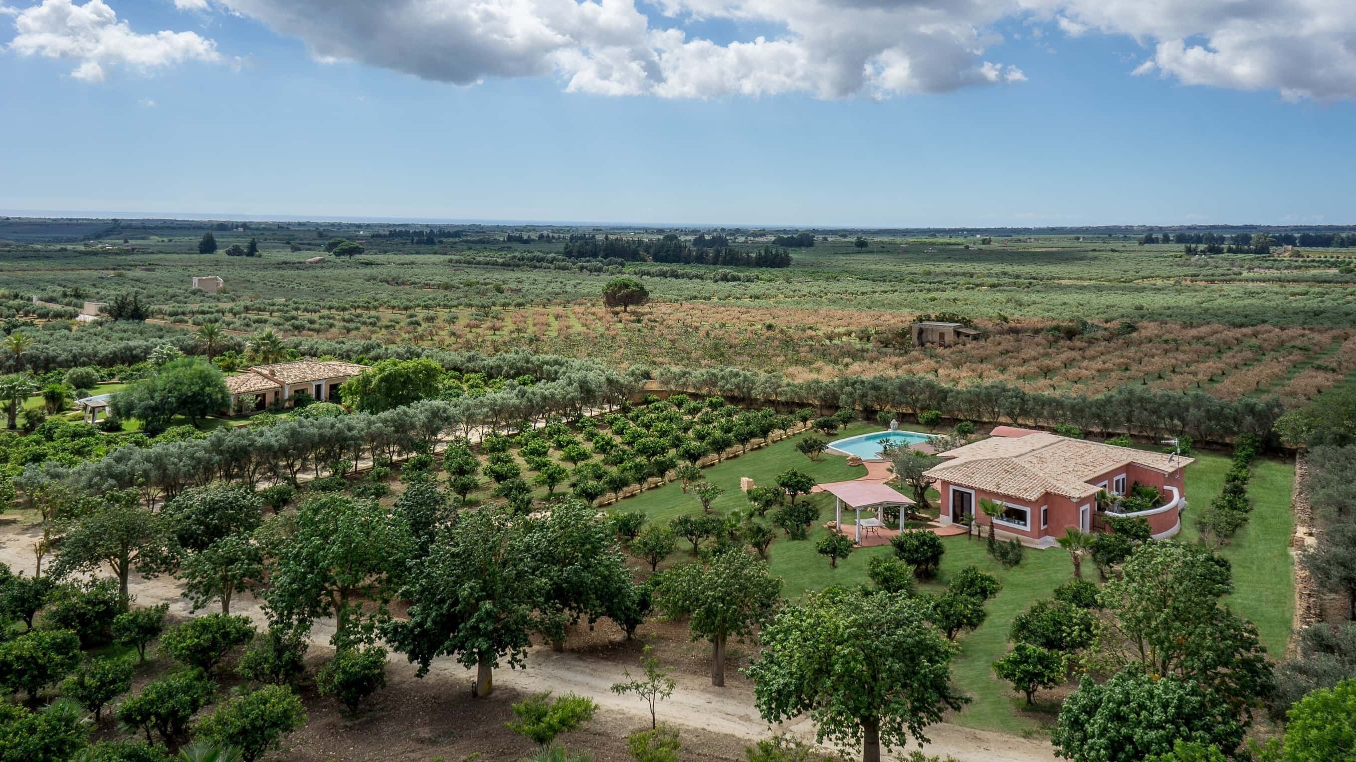 A large estate with a swimming pool, surrounded by lush gardens and olive groves.