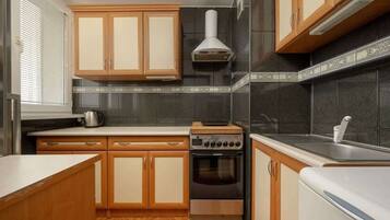 Fridge, oven, stovetop, cookware/dishes/utensils