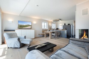 Télévision, cheminée, chaîne hi-fi