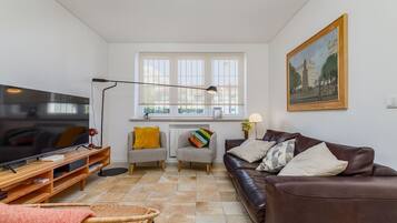 Smart TV, chimenea, libros y estéreo