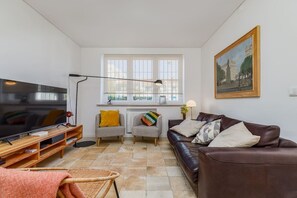 TV connectée, cheminée, livres, chaîne hi-fi