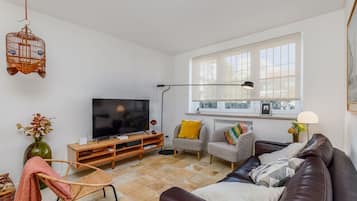 Smart TV, fireplace, books, stereo