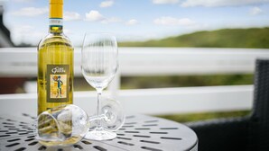 A bottle of wine and an empty glass on a metal table with a view of a green landscape in the background.
