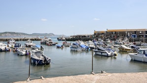 Una marina con diverse imbarcazioni ormeggiate, un molo che si protende nell'acqua e un edificio a tetto piatto sullo sfondo.