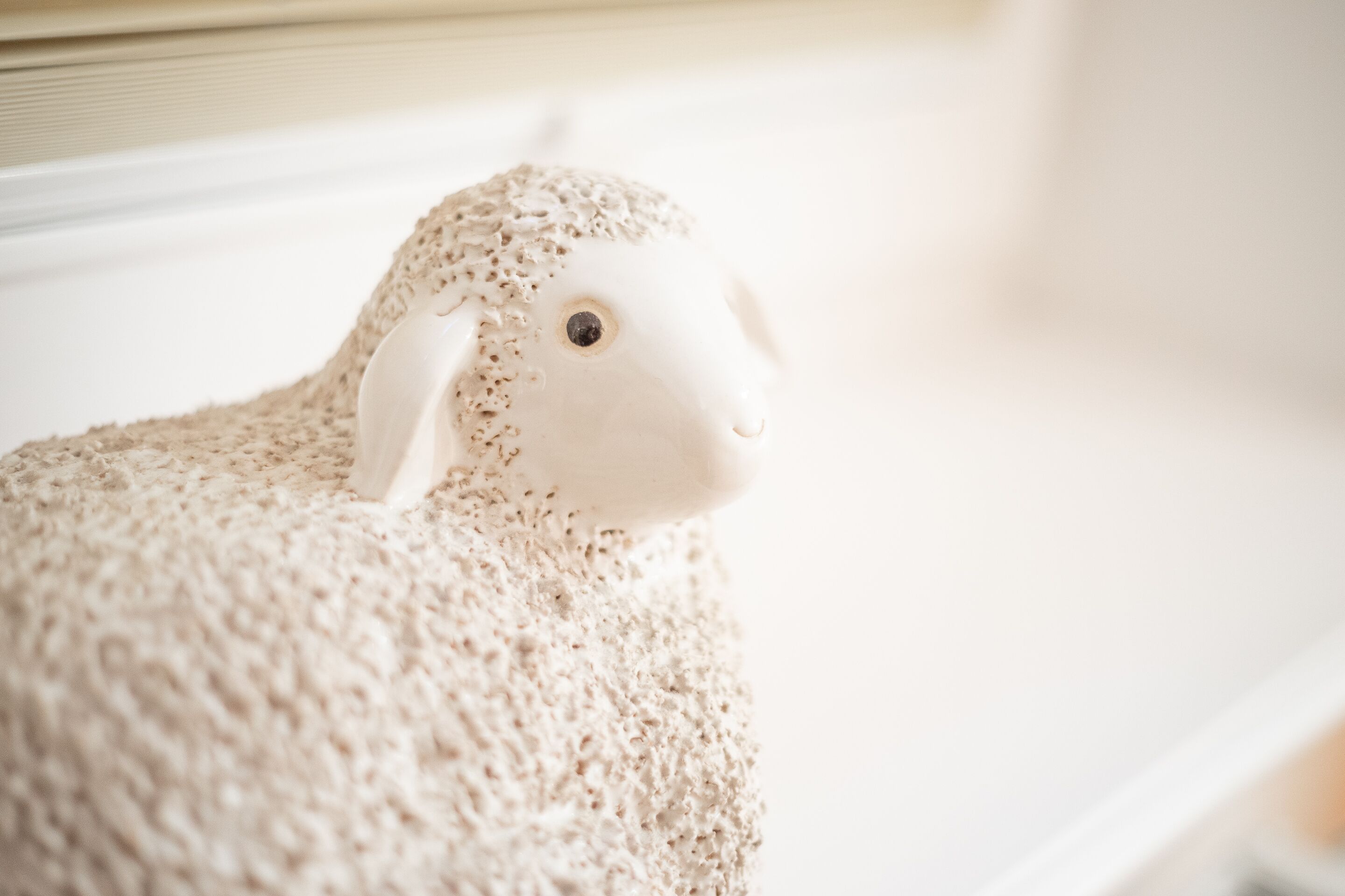A close-up of a textured white object resembling a sheep.