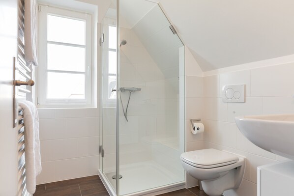 A modern bathroom with a glass-enclosed shower, a toilet, and a sink.