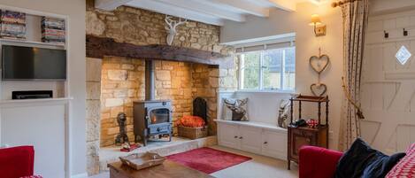 Télévision, cheminée, lecteur de DVD