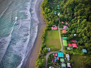 Stunning beachfront homes line the coast, offering serene ocean views and lush tropical surroundings.