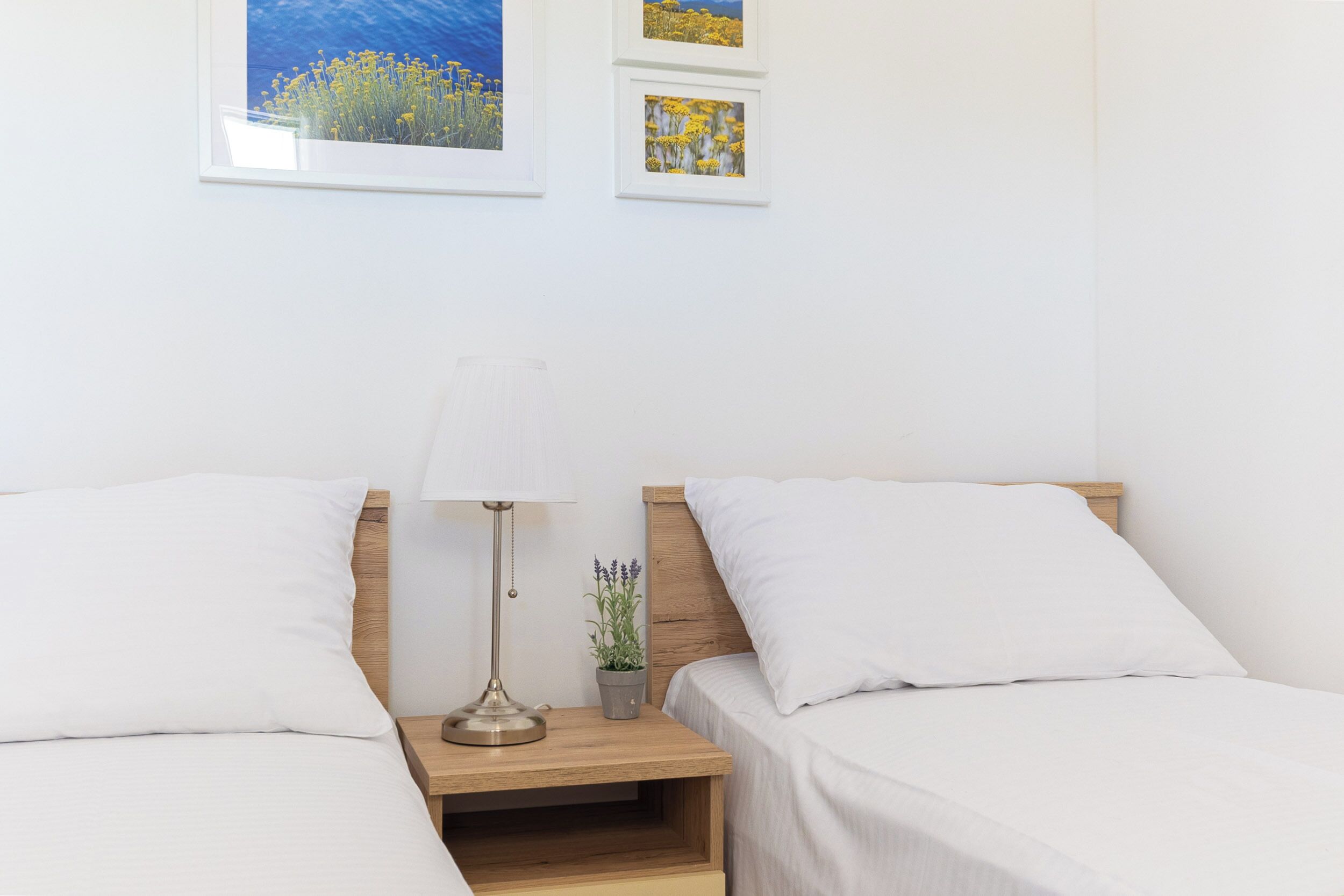 A double bed with a wooden headboard, a bedside table with a lamp, a small potted plant, and framed pictures on the wall.