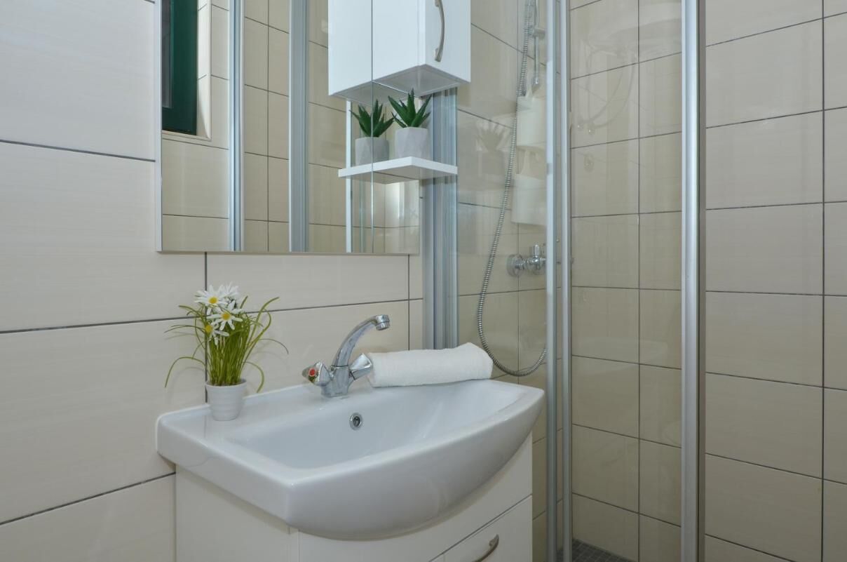 A bathroom with a white sink, a mirror, a shower, and a small potted plant.