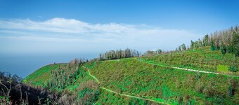 Home Thomas - Calheta o Conforto na Natureza