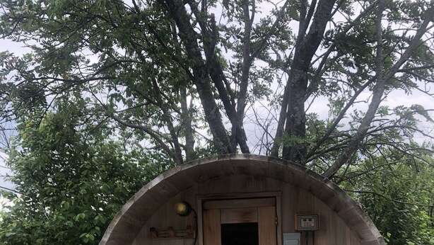 Eine hölzerne Sauna mit Bänken und einer Tür, umgeben von Bäumen.