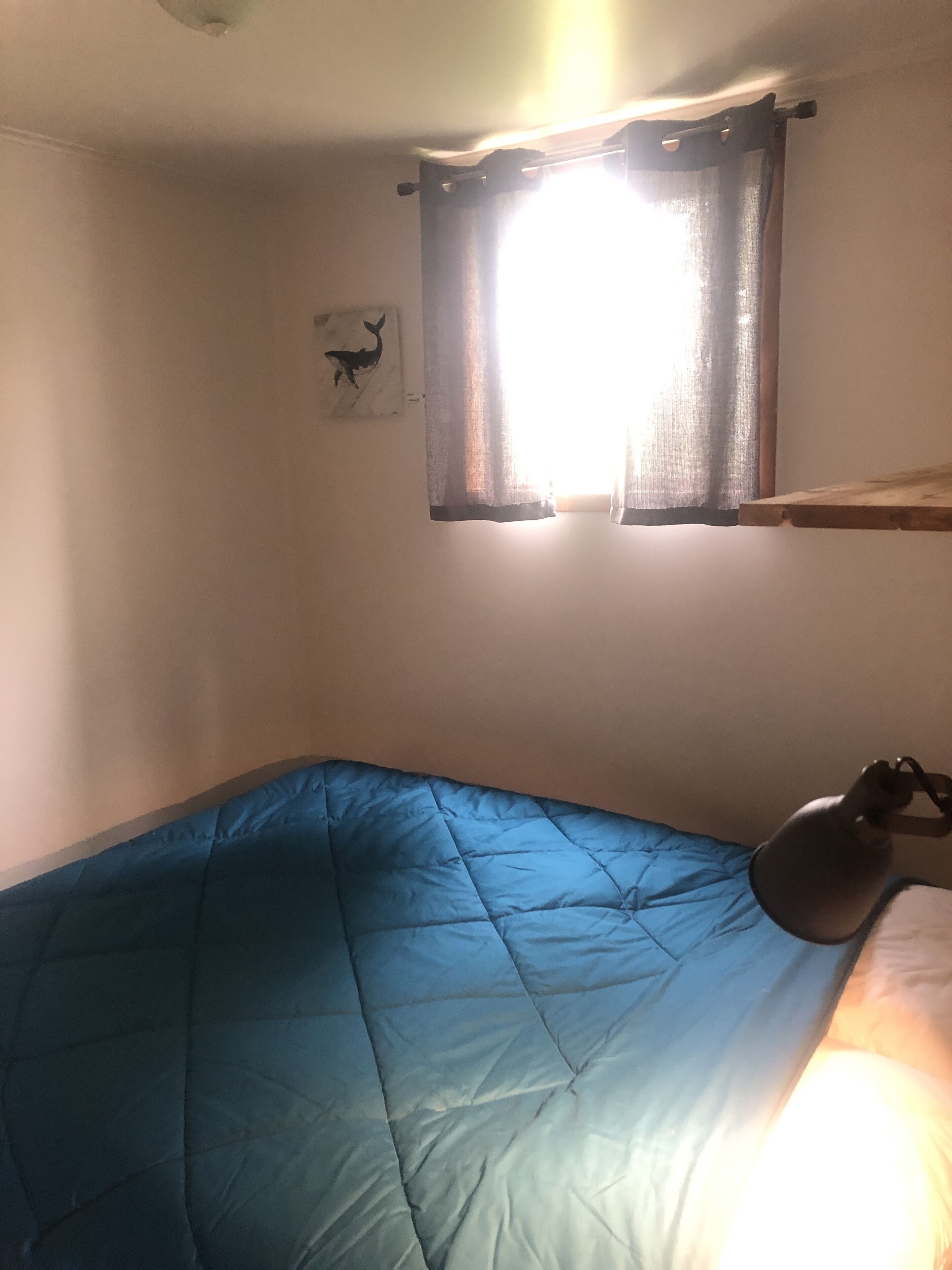 A room with a single bed, a window with curtains, a wall-mounted shelf, and a small picture.