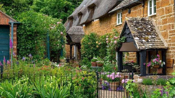 A traditional stone cottage with a thatched roof, a small garden with various plants and flowers, and a sign indicating 'MARTIN'S COTTAGE.'