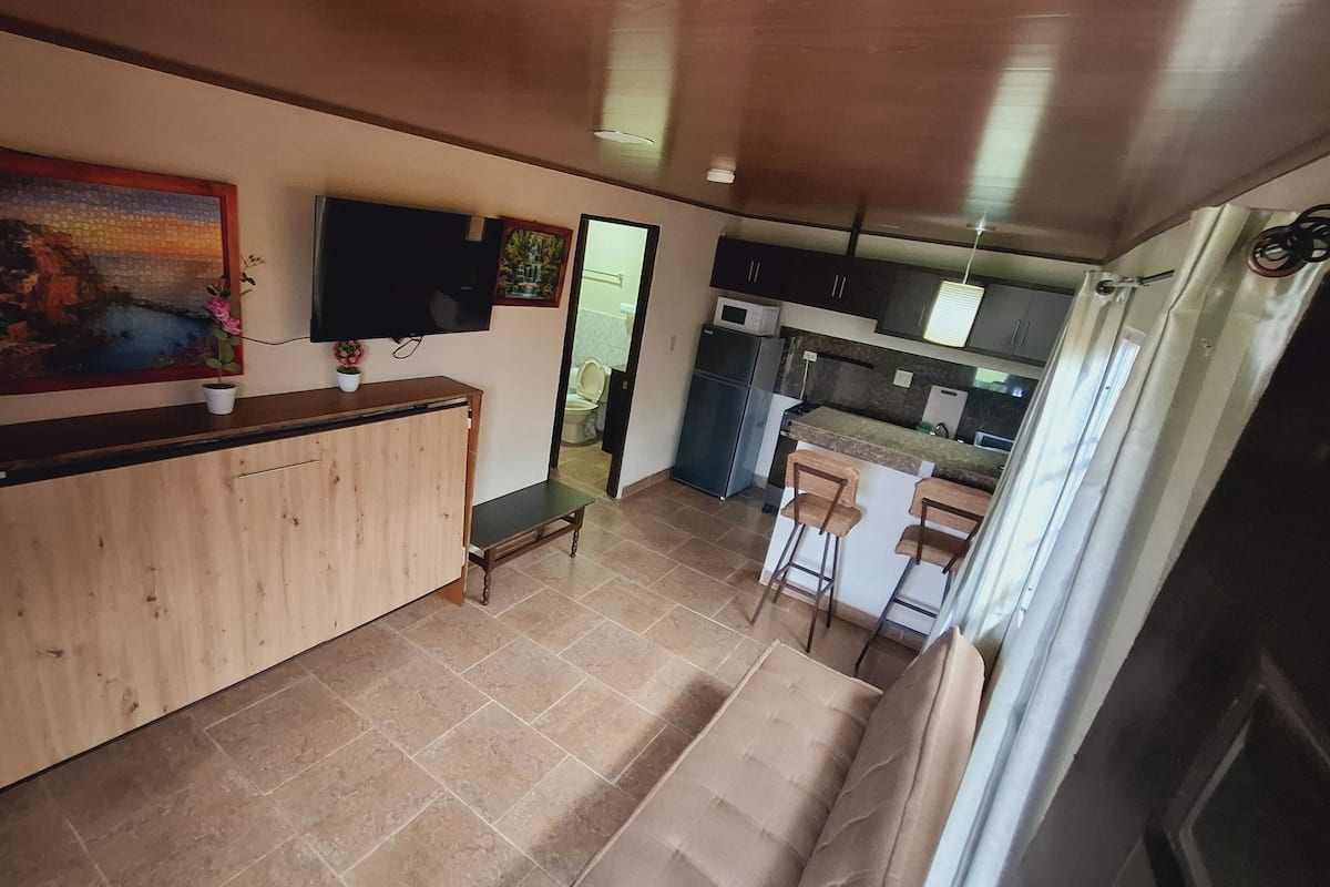 Deluxe Apartment | Living area