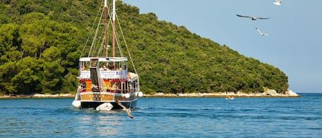 Sekalaista