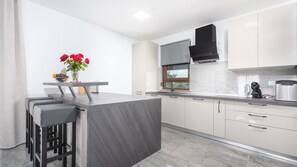 Fridge, microwave, oven, dishwasher - Villa Bibali Istra by Villas Guide (Bibali)