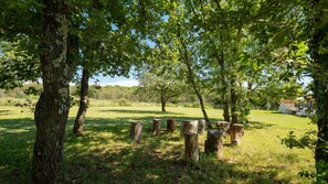 Un cadre naturel en plein air, agrémenté d’arbres et de souches d’arbres.