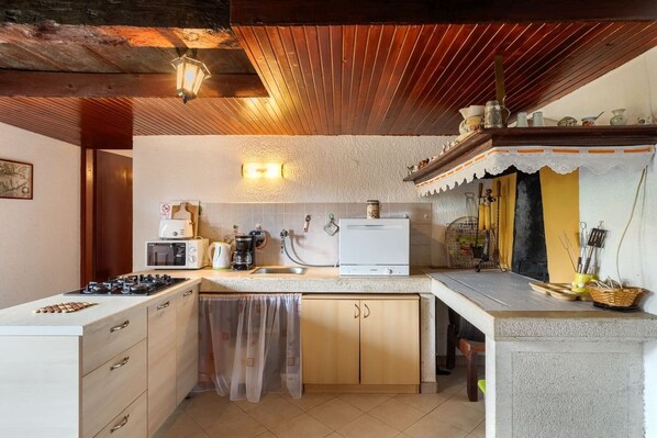 Fridge, microwave, oven, dishwasher - Villa Greis by Villas Guide (Buje)