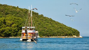 Miscellaneous - Villa Simone by Villas Guide (Porec)