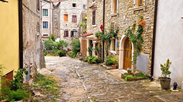 Áreas de la propiedad