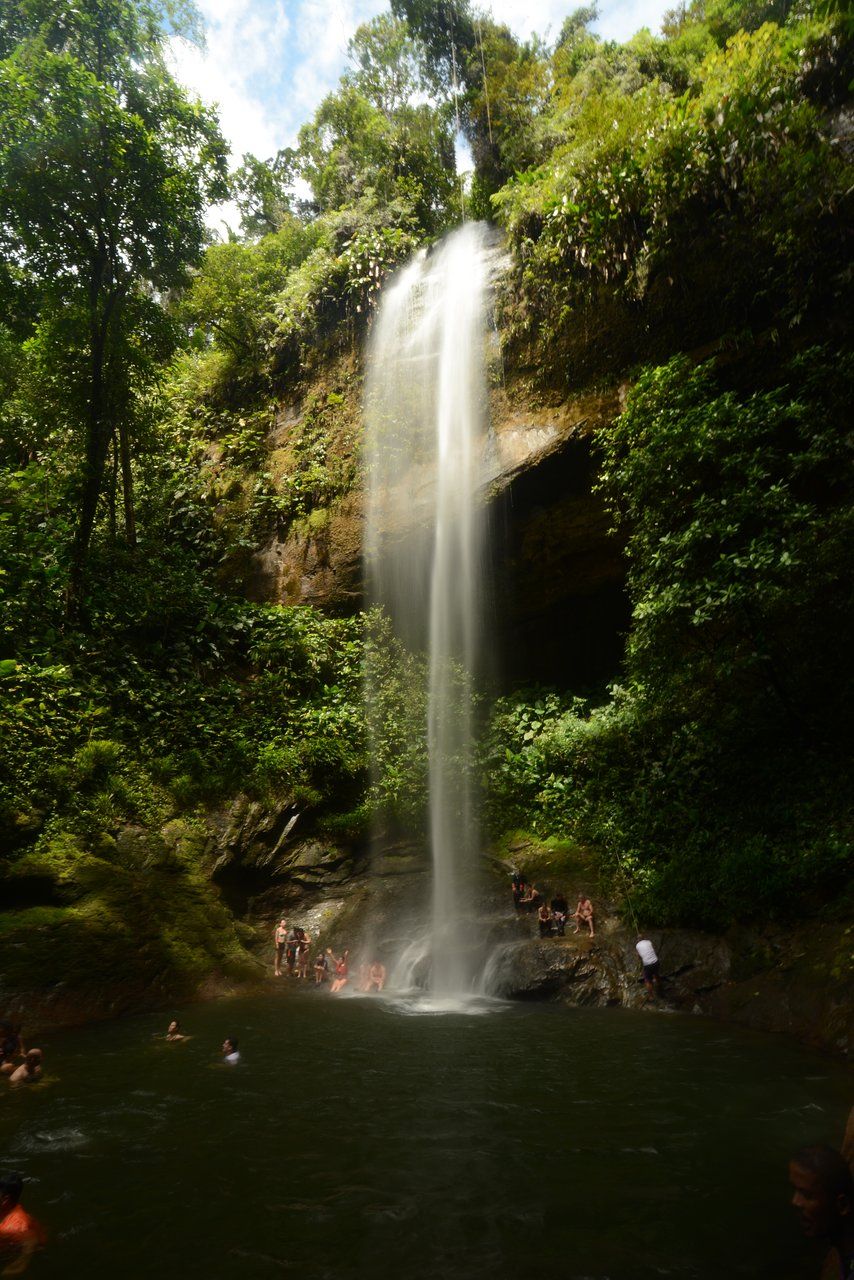 Una cascada rodeada de exuberante vegetación.