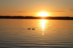 Beach - GEORGIAN BAY RETREAT-Stone Fireplace-Hot Tub- Dock- No Cleaning Fee! (Wiarton)