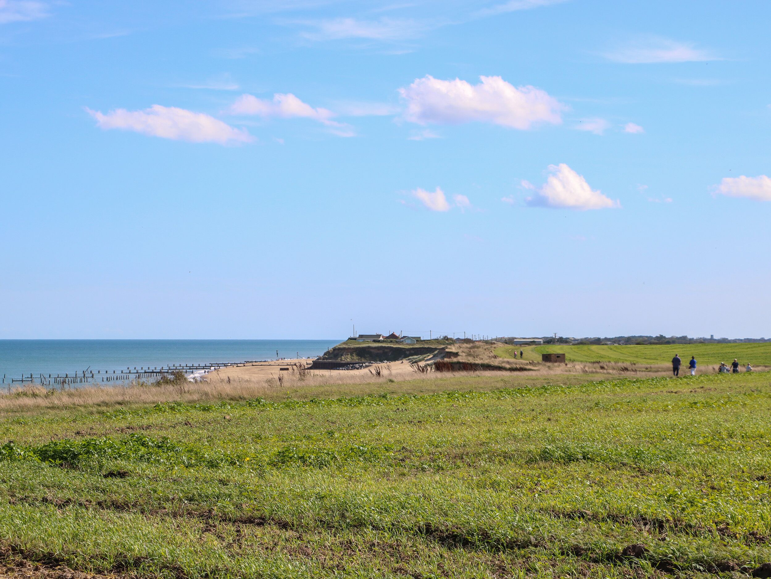 A coastal landscape with a grassy field, a beach, and a distant hill with structures.
