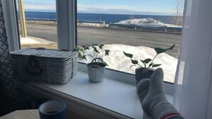 Ikkunasta avautuu näkymä lumiseen maisemaan, ja siinä näkyy myös kasvi sekä pino laatikoita.
