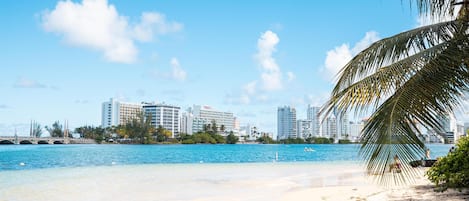 ビーチの近く、ビーチタオル、カヤック